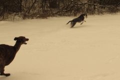 2013_03_11_03