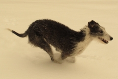 2013_03_11_05