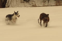 2013_03_11_06