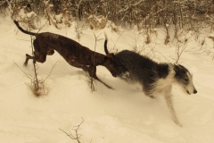 2013_03_11_07