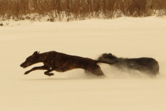 2013_03_11_08
