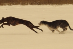 2013_03_11_09