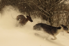 2013_03_11_10
