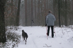 2009_01_18_01