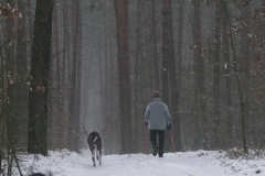 2009_01_18_02