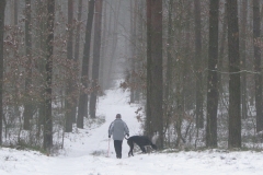 2009_01_18_03