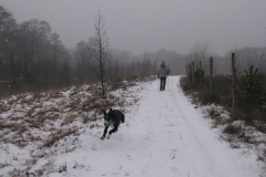 2009_01_18_06
