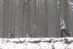 2009_01_18_07