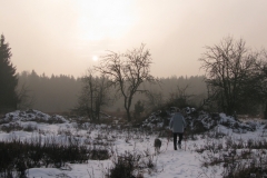 2009_01_18_08