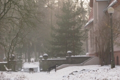2009_01_18_11