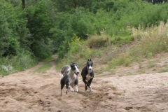 2008_08_02_10