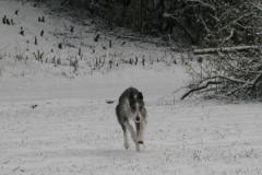 2009_02_20_06