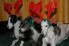 2007_12_14_04