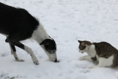 2015 02 05_d7a