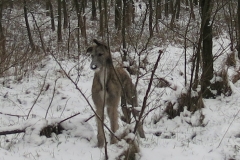 2015 02 07_a