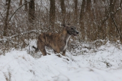 2015 02 07_a9a