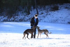 2015 02 08_b3a