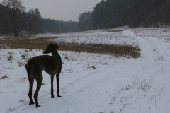 2016 01 20_b6e