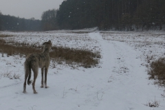 2016 01 20_b6f