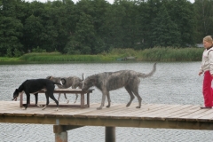 2008_09_21_20