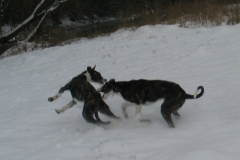 2007_02_23_02