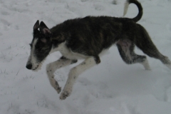 2007_02_23_04