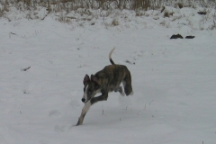 2007_02_23_05
