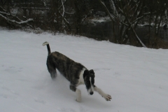 2007_02_23_06