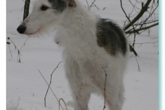 2010_01_28_01