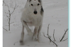 2010_01_28_02