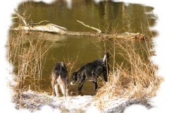 2008_03_05_07