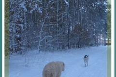 2010_12_13_08