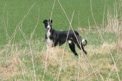 boy_42