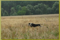 2010_07_28_03