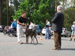 2011_05_28_01