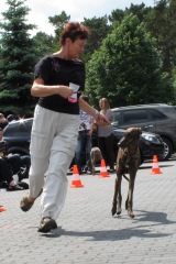 2011_05_28_02