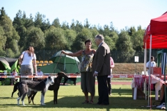 2013-09-07_w_d