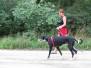 08.08.2010 Dogtrekking