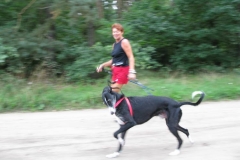 2010_08_08_03