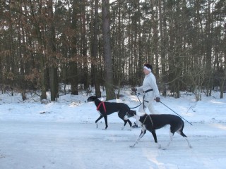 2011_02_27_01