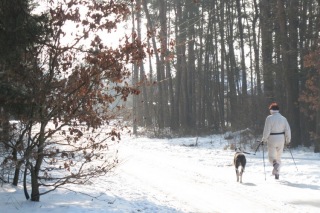 2011_02_27_02