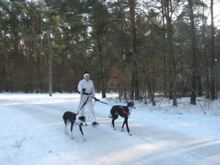 2011_02_27_03