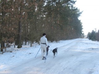 2011_02_27_04