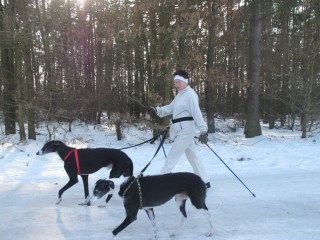 2011_02_27_06