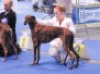European Dog Show 2008
