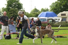 2009_06_13_25