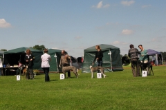 2009_06_13_42