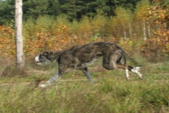 2008_10_16_21