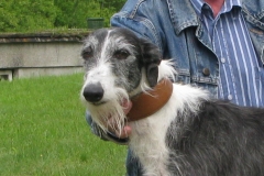2010_05_30_04