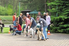 2010_05_30_10